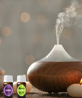 Aromatherapy Essential Oils Kits - DALEME 100% Pure Therapeutic Grade Gift Sets for Oil Diffuser, Massage including Tea Tree/Peppermint/Sweet Orange/Lavender/Eucalyptus/Lemongrass