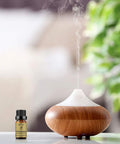 Aromatherapy Oils Cinnamon Essential Oil, Cleaner Homes 100% Pure and Natural Essential Oil - 10ML