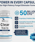 Biodora Oral Probiotic Antifungal Pills - Extra Strength Nail Fungus Eliminator | Toenail Fungal Inhibitor - Clear Nails Supplement | 50 Billion Cfu (60 Capsules)