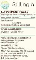 HerbEra - Stillingia B120 Alcohol-Free Herbal Extract Tincture, Concentrated Liquid Drops Natural Stillingia (Stillingia sylvatica) Dried Root (4 fl oz)