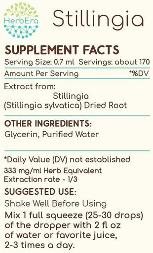 HerbEra - Stillingia B120 Alcohol-Free Herbal Extract Tincture, Concentrated Liquid Drops Natural Stillingia (Stillingia sylvatica) Dried Root (4 fl oz)