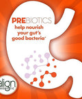 Align Dualbiotic Prebiotic + Probiotic For Women And Men Help Nourish And Add Good Bacteria For Digestive Support Natural Fruit Flavors 60 Gummies
