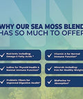 Irish Sea Moss Capsules with Organic Irish Moss 300mg Burdock Root and 500mg Bladderwrack Powder 45Day Supply 1300mg Complex Provides Iodine for Thyroid and Immune Support 90 Veggie Pills