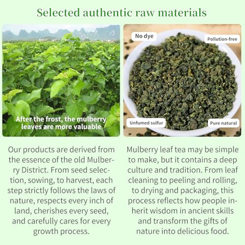 Wanhua Hall Mulberry Leaf Tea Mulberry Tea Loose Leaf 9.17oz/260g Fresh Taste Dried Sang Ye Loose Leaf Herbal Tea Caffeine Free Ã¦Â¡â€˜Ã¥ÂÂ¶Ã¨Å’Â¶ Ã¦Â¡â€˜Ã¥ÂÂ¶ Ã©Å“Å“Ã¦Â¡â€˜Ã¥ÂÂ¶