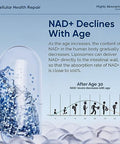 Nad+ Supplement 1000 Mg Pure Organic, Highest Nad+ Resveratrol Supplement Max Absorption For Energy And Dna Repair, Aging Defense, Brain Function Support, 120 Capsules