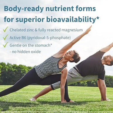 Neurobalance, High Absorption Zinc Magnesium B6 Supplement, Non-Gmo Brain, Sleep & Immune, Chelated Zinc Picolinate 24Mg, Oxide-Magnesium & Vitamin B6, 120 Tablets, By Igennus