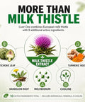 Balance One Liver Support Supplement With Milk Thistle Molybdenum Dandelion Root &
