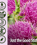 Nature'S Answer Milk Thistle 2000 Mg 1Oz Extract Promotes Liver Function Non-Gmo, Kosher Certified, Gluten- 2 Pack
