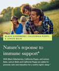 Gaia Herbs Black Elderberry Nighttime Syrup Immune Support Supplement 5.4 Fl Oz (32Day Supply)