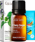 Gya Labs Marjoram Oil Essential Oil Diffuser & Clary Sage Essential Oil For Diffuser Set - Aromatherapy Grade Essential Oils Set - 2X0.34 Fl Oz - Gya Labs