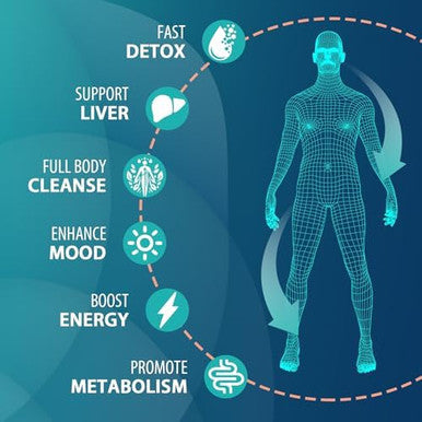 MythoTecq Detox and Cleanse Body Detox for Men and Women Fast Detoxification Kidney Cleanse andRepair Natural Herbal Premium Formula for Liver Digestion and Mood
