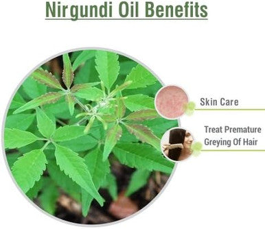 NIRGUNDI OIL 100% NATURAL PURE UNDILUTED UNCUT ESSENTIAL OIL 15ML by Salvia