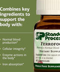 Standard Process Ferrofood Iron Supplement to Support Normal Blood Production Aid Iron Absorption with Vitamin C Health Supplement with Alfalfa Spanish Moss Vitamin B12 and More 40 Capsules