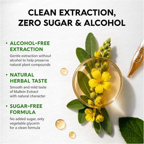Nutraharmony Organic Mullein & Vitamin D3 K2 Drops