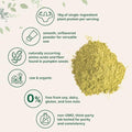 Micro Ingredients Organic Pumpkin Seed Protein Powder 2Lb Raw Plant-Based Protein Single-Ingredient Powder Smooth Texture & Versatile Use Non-Gmo Soy Free