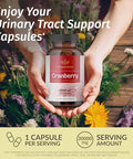 Herbamama Cranberry And Iodine Kit - Bundle Of 30000 Mg Cranberry Concentrate Capsules & Potassium Iodine Gummies - Vegan Non-Gmo Gelatin- - 2 Pack