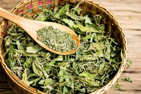 150+ Stevia Sweetleaf Seeds for Planting, Sugar Leaf Stevia Plant Seeds, Natural Sweetener Herb Seeds, Perennial Plant for Home Garden, Container, Tea & Sugar-Free Recipes, Non-GMO