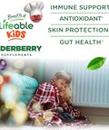 Lifeable Sugar Elderberry Gummies For Kids With Vitamin C And Zinc Kids Immune Support Supplement Great Tasting Elderberry Gummies Vegan Non Gmo Kosher Gluten 60 Gummies