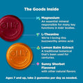 Olly Kids Chillax Gummies Magnesium LTheanine Lemon Balm Chewable Supplement Sherbet Flavor
