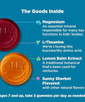 Olly Kids Chillax Gummies Magnesium L-Theanine Lemon Balm Chewable Supplement Sherbet Flavor