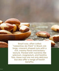 PuroRaw Brazil Nuts Raw 1lb, Raw Brazil Nuts. Brazil Nuts Unsalted - Brazil Nuts- All Natural, Non-GMO, Vegan Brazil Nuts- Brazil Nuts Bulk 16oz