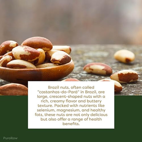 PuroRaw Brazil Nuts Raw 1lb, Raw Brazil Nuts. Brazil Nuts Unsalted - Brazil Nuts- All Natural, Non-GMO, Vegan Brazil Nuts- Brazil Nuts Bulk 16oz