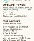 Chanca Piedra B120 Alcohol-Free Herbal Extract Tincture, Concentrated Liquid Drops Natural Chanca Piedra (Phyllanthus niruri) Dried Herb (4 fl oz)