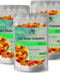 BIO VITALICA Sea Moss Gummies with Bladderwrack and Burdock Root Wildcrafted Gel + Powder Vegan Keto NonGMO GlutenFree Fruity MineralRich Gummies 50 Count (2 Pack)