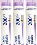 Boiron Ledum Palustre 200Ck Homeopathic Medicine For Insect Bites Or Bruising Pack Of 3 (240 Pellets)