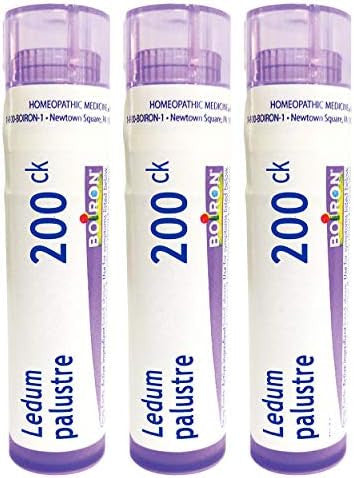 Boiron Ledum Palustre 200Ck Homeopathic Medicine For Insect Bites Or Bruising Pack Of 3 (240 Pellets)
