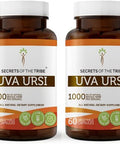 Secrets of the Tribe Uva Ursi 2x60 Capsules, Made with Vegetable Capsules and Uva Ursi Arctostaphylos Uva-Ursi Urinary System Health (2x60 Capsules)