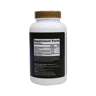 Ageless Ultra Flex Gold Joint Health Glucosamine & Chondroitin with MSM120 Table 60 Servingsts
