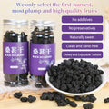 Wanhua Hall Premium Dried Black Mulberries Fruit Black Mulberry Tea No Sugar Added, No Additives, All Natural, Unsulfured Great for Desserts and Tea, Healthy Fruit Snack Ã©Â»â€˜Ã¦Â¡â€˜Ã¦Â¤Â¹Ã¥Â¹Â² Ã¦Â¡â€˜Ã¨â€˜Å¡280g/10oz