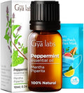 Gya Labs Cinnamon Bark & Peppermint Essential Oil Set 034 Fl Oz