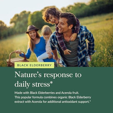 Gaia Herbs Black Elderberry Daily Immune Support Supplement To Help Maintain Wellbeing With Black Elderberries And Acerola Fruit For Antioxidant Support 120 Vegan Capsules (60Day Supply)