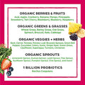 Orgain Organic Vegan Protein Powder (Peanut Butter) And Orgain Organic Greens Powder (Berry) Plant Based Protein And Superfoods