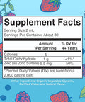 Maryruth'S Maryruth Organics Zinc Supplement For Immune Support Immune Support Supplement For Kids Ages 4-13 Zinc Sulfate Vegan Usda Organic Glycerin Based 2 Fl Oz