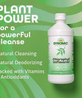 Dynamic Health Liquid Chlorophyll Unflavored 100 Mg Sodium Copper Chlorophyllins With Alfalfa And Mulberry Leaves Plant Cleanse And Deodorizing No Added Sugar 16 Fl Oz