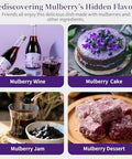 Hee Creek Large Dried Black Mulberries 17.64oz/500g Unprocessed Mulberry Tea No Sulfur Fumigation & No Sugar Nourishing and Soothe Ã©Â»â€˜Ã¦Â¡â€˜Ã¨â€˜Å¡ Ã¦Â¡â€˜Ã¨â€˜Å¡ Ã©Â»â€˜Ã¦Â¡â€˜Ã¦Â¤Â¹Ã¥Â¹Â²