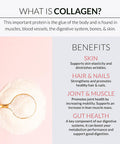 Alaya Naturals Multi Collagen Powder 20 Serving