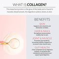 Alaya Naturals Multi Collagen Powder 20 Serving