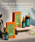 Herbs Etc. ChlorOxygen Chlorophyll Concentrate Softgels High Potency Chlorophyll for Detoxification Support