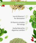 Buried Treasure Herbal Iron 48 Servings Liquid Iron And Herbal Supplement Vitamin C & B Complex Vitamins Ironrich Greens Vegan Iron For Men And Women