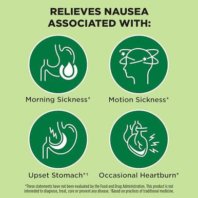 Dramamine Nausea Relief Ginger Chews 20 Count And Preggie Pop Drops Plus21 Dropsvitamin B6 For Morning Sickness & Nausea Relief