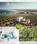 WellEatable Robust +1,200 mg/kg Polyphenol Rich Olio Italiano, 2024/25 Early Harvest Organic Extra Virgin Olive Oil from Italy, Lab Tested, Cold Extracted for Drinking and Finishing, 16.9 fl oz
