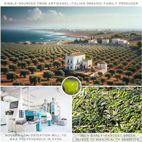 WellEatable Robust +1,200 mg/kg Polyphenol Rich Olio Italiano, 2024/25 Early Harvest Organic Extra Virgin Olive Oil from Italy, Lab Tested, Cold Extracted for Drinking and Finishing, 16.9 fl oz