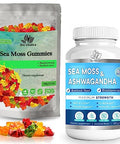 BIO VITALICA Sea Moss Ashwagandha and Sea Moss Gummies (Bundle) Irish sea Moss raw Organic Bladderwrack Burdock Root