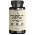 Vinatura Organic Sea Moss, Blue Vervain Advanced - 1250Mg Per Serving, With Bladderwrack Burdock, Ashwagandha, Black Seed Oil
