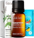 Gya Labs Spearmint Essential Oil For Diffuser & Peppermint Oil For Diffuser Set - Aromatherapy Grade Essential Oils Set - 2X0.34 Fl Oz - Gya Labs