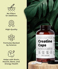 Santa Cruz Paleo Creatine Capsules Supports Muscle Growth & Energy Gluten Free Keto Sugar Free Paleo No Fillers Or Additives Creatine Monohydrate Pills 2500Mg 100 Servings 300 Capsules